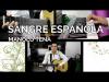 Embedded thumbnail for Sangre española - Manolo tena (cover by Henry Slim)